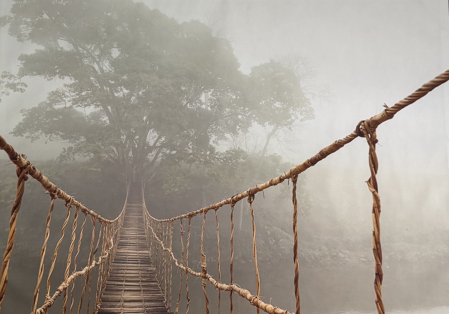 Suspension bridge extending through a misty forest